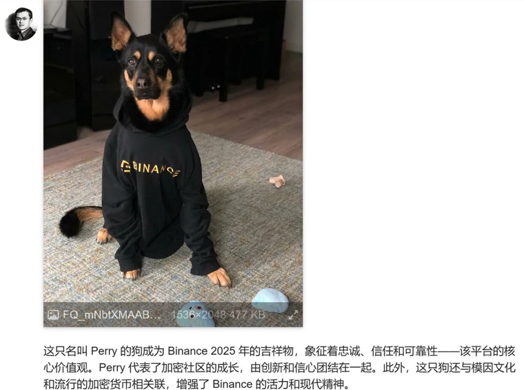 Send Meme newbie CZ online tutoring lessons, and enthusiastic netizens pay a lot of money to get “dogs”插图4