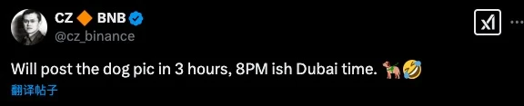CZ引爆“西兰花之夜”：全网上头猛冲，某部署者用1BNB赚取5000万人民币