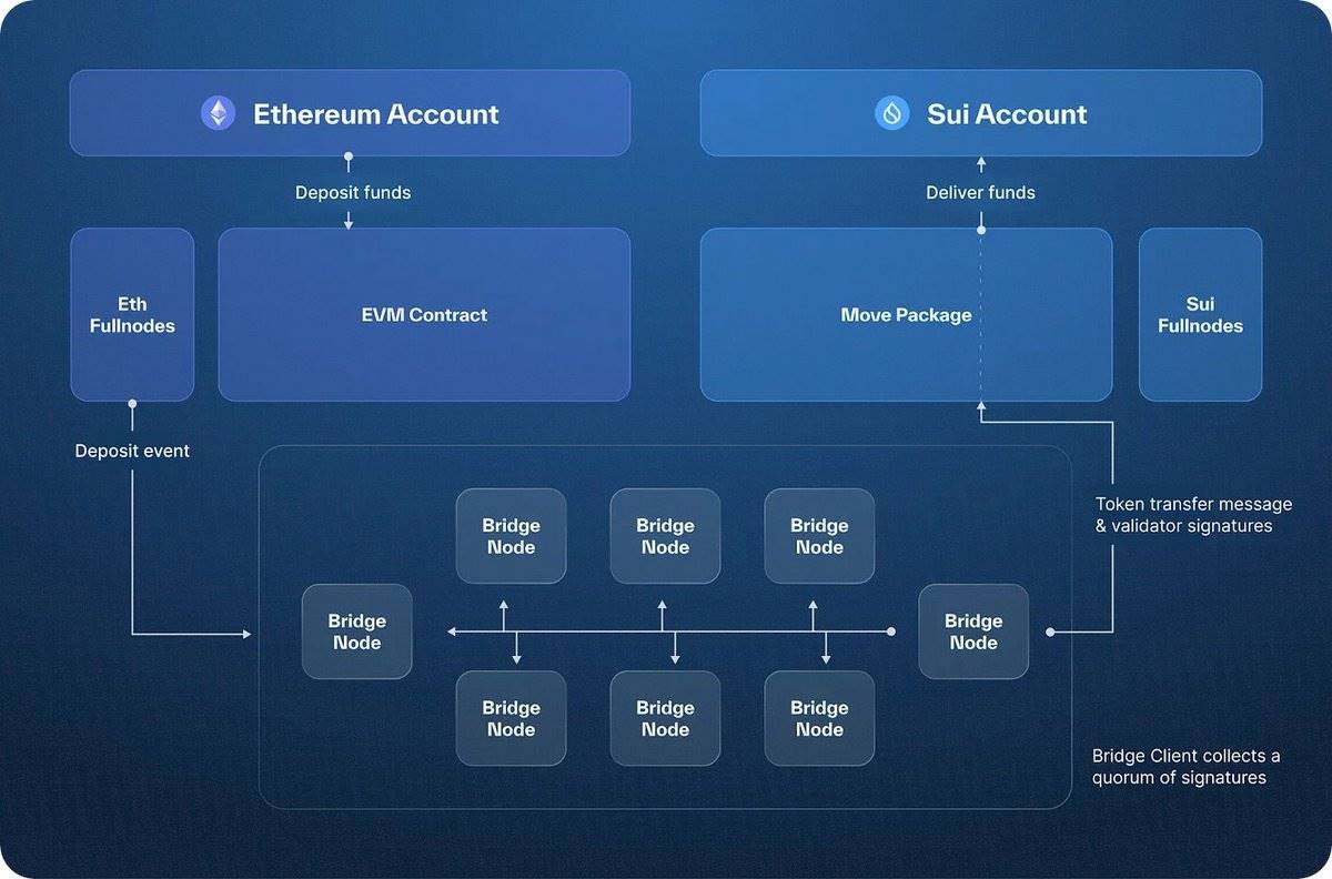 Take an in-depth look at Sui’s surge in liquidity and learn about SUI插图