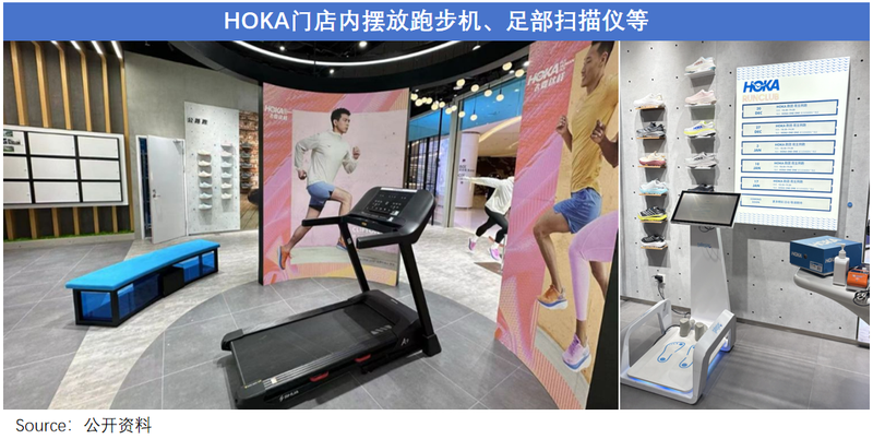 Archaeopteryx, the favorite of the middle class, cannot harvest fans of HOKA and Angpao插图18